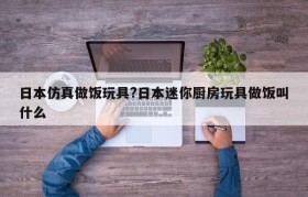 日本仿真做饭玩具?日本迷你厨房玩具做饭叫什么