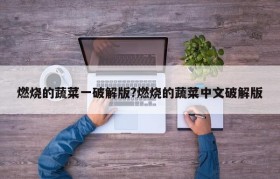 燃烧的蔬菜一破解版?燃烧的蔬菜中文破解版